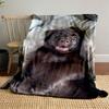 Cute Brown Puppy On Blanket for All Seasons Blanket Lunch Break Throw Gift