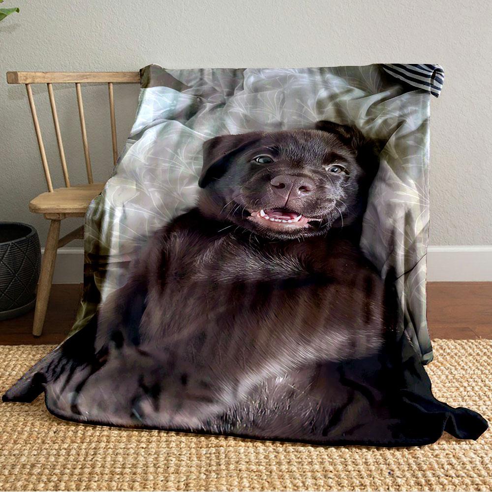 Cute Brown Puppy on Blanket for all seasons blanket lunch break throw gift