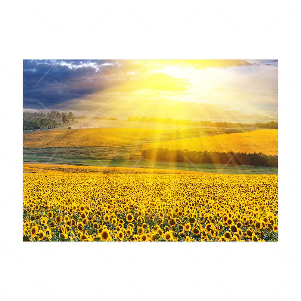 

Подсолнухи, настенная живопись на холсте, солнечный свет сияет, цветочные растения, фотография, печать, плакат для гостиной, домашний декор 40x60cm No Framed