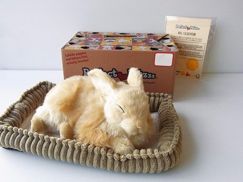 Ninian and Kino Perfect Pet Rabbit Plush Perfect Cute Bunny (Small) (Beige) Toy, Realistic, Lifelike, Animal, Soothing, Moving, Gift, Celebration,