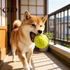 Squeaky Dog Ball Raised Texture Chew Toy Dogs Teeth Cleaning Bite-resistant Relieves Boredom And Anxiety for Puppy Teething Fetch Game Wear-resistant