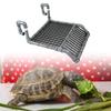 Turtle Basking Platform Reptile Tank Ladder Resting Climbing Shelf Turtle Ramp for Turtles Newts Amphibians Bearded Dragon