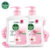 Dettol Moisturizing Hand Wash Twin Pack