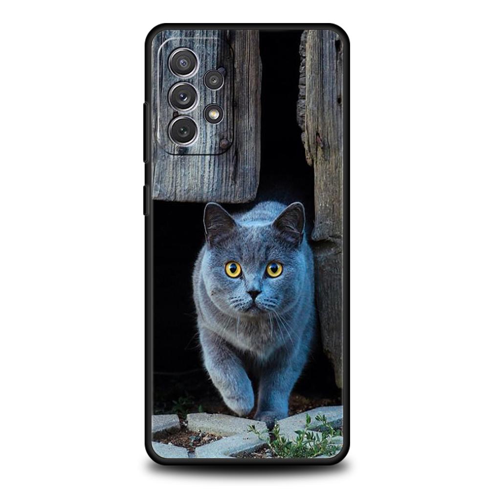 Britische Kurzhaarkatze Fall für Samsung A24 A12 A14 A32 A50 A70 A20E A20S A10 A10S A22 A30 A40 A34 A54 A42 A52 5G A04s A72 Abdeckung