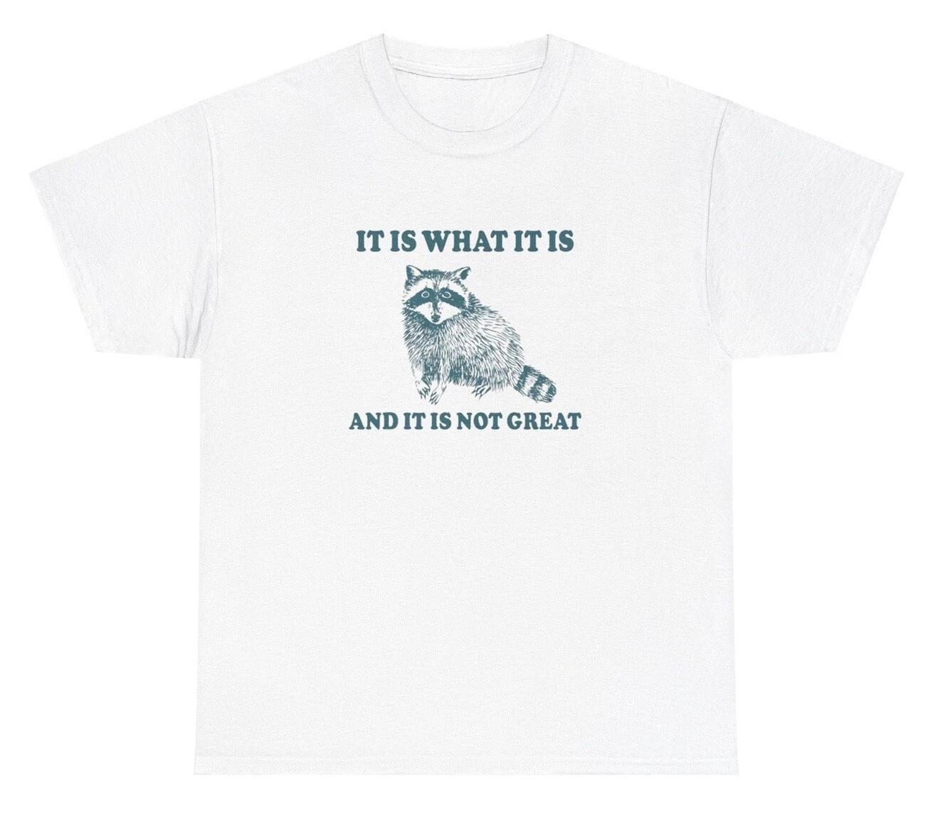 It Is What It Is And It s Not Great T Shirt Funny Sarcastic Racoon Lover Tee 4XL