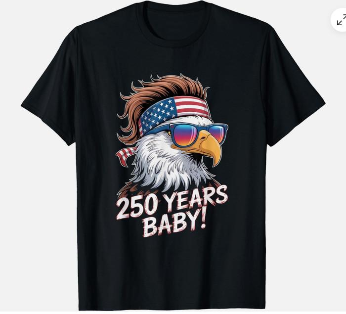 250 Years Baby American Bald Eagle USA 250th Anniversary T-Shirt M