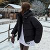 Women’s Short Hooded Windproof Thicken Warm Winter Jacket Outerwear