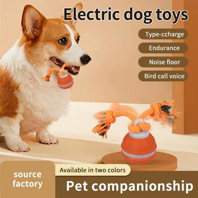 Perros – Juguetes para perros