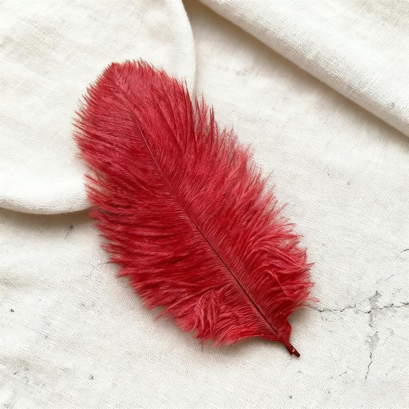 25-30cm Natural Ostrich Feathers Soft Decorative Plume for DIY Wedding Bouquet Ornament
