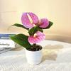 Wielobarwny Sztuczny Bonsai Anthurium Realny Dotyk Miękka Guma Roślina Symulacyjna Ozdoba Biurkowa Rekwizyty Fotograficzne Sztuczny Kwiat