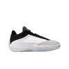 Air 40 PF The Classic Men Sneakers White Black Vast-Grey HM9932-100