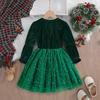Girls Long Sleeve Princess Dress Autumn Spring Kids Christmas Party Elegant Gown Baby Toddler Formal Wear