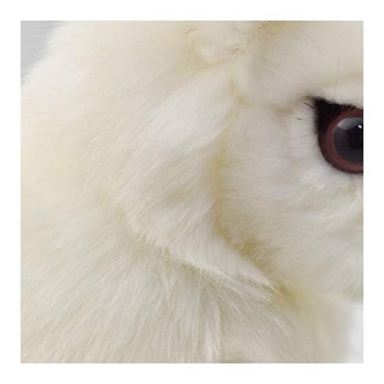 BH7851 HANSA Arctic Rabbit 30