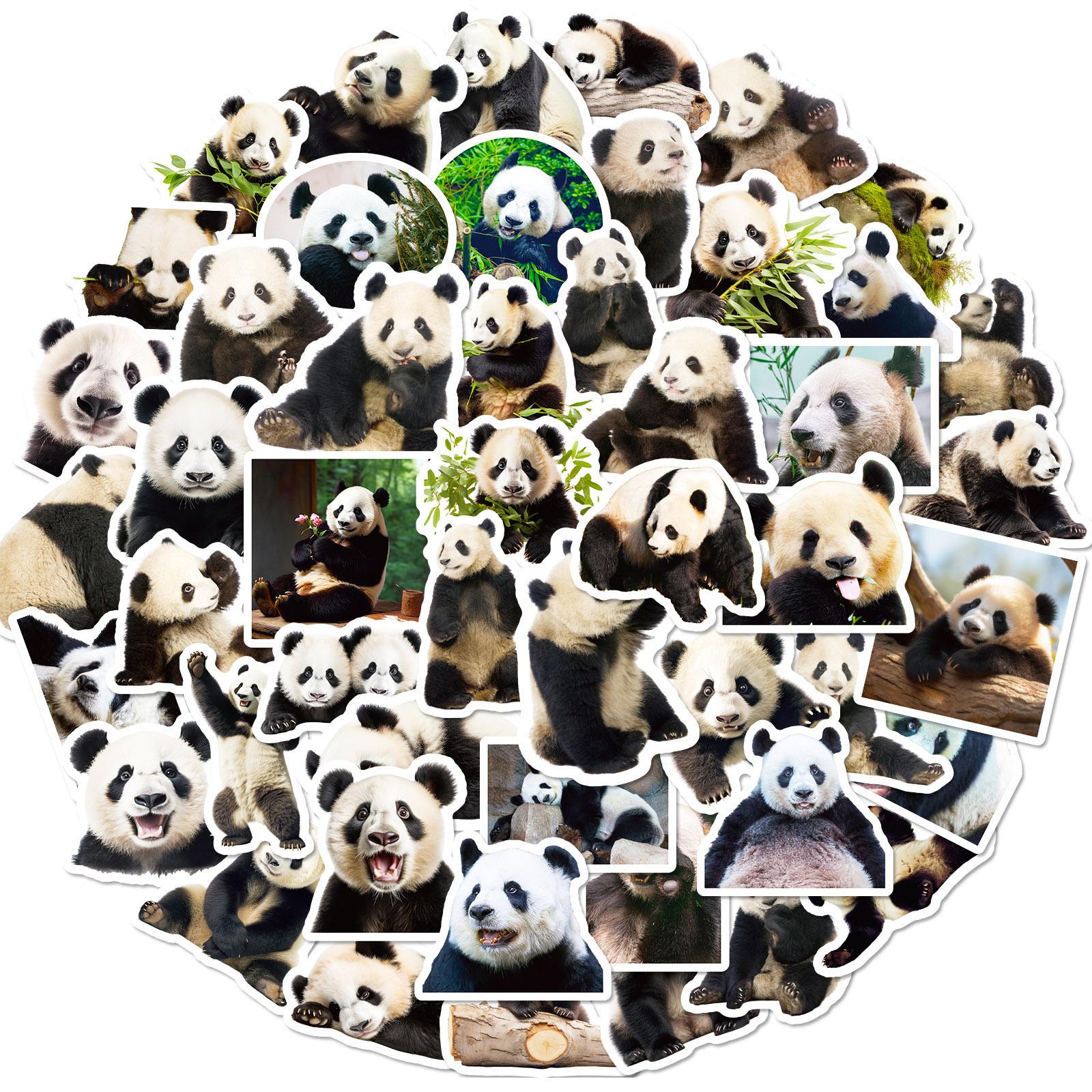 50 Panda Realistic Stickers Cute Giant Panda Flower Emoji Stickers Computer Mobile Phone Water Cup Stickers