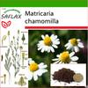 Mayweed - 300 Seeds - With Potting Substrate for Better Cultivation - Matricaria Chamomilla