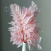 Preserved Fern Leaf for Home Decoration,Eternal Life,Natural Real Fern Plant,Handmade Flowers Material,Wedding,Home, 5Pcs,10Pcs