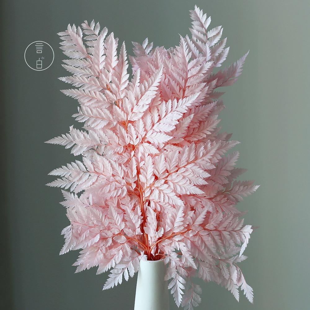 Preserved Fern Leaf for Home Decoration,Eternal Life,Natural Real Fern Plant,Handmade Flowers Material,Wedding,Home, 5Pcs,10Pcs