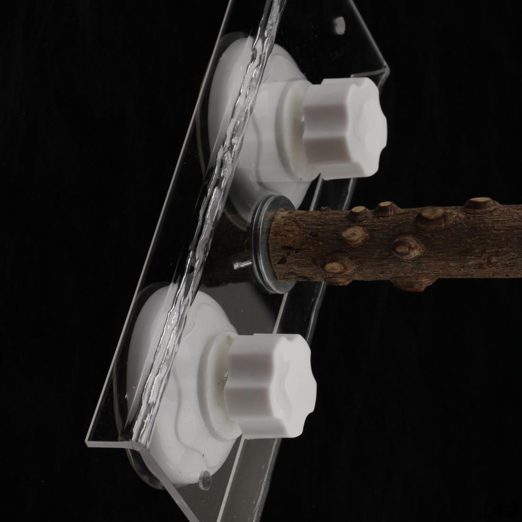 Perch Wooden Stick With Suction Cups For Birds, Parrots,