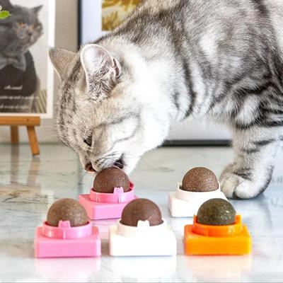 חתולים – צעצועים לחתולים