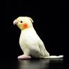 Cute Cockatiel Toy Yellow Bird Simulation Stuffed Plush Toys Nymphicus Hollandicus Kids Gift Lifelike Plush Dolls