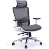 Office Chairs Fortia Ergonomic Office Desk Chair Coolmesh Fabric Headrest Adjustable Lumbar Support Armrests And Recline Dark Grey Mesh/White Frame