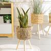 Rattan Indoor Plant Stand Handwoven Flowerpots Stool with Legs Floor Planter Basket Rack Plant Shelf for Garden Home