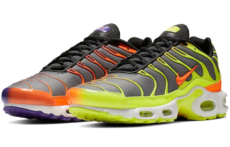 

Nike Air Max Plus Color Flip Pack Black CI5924-061 40