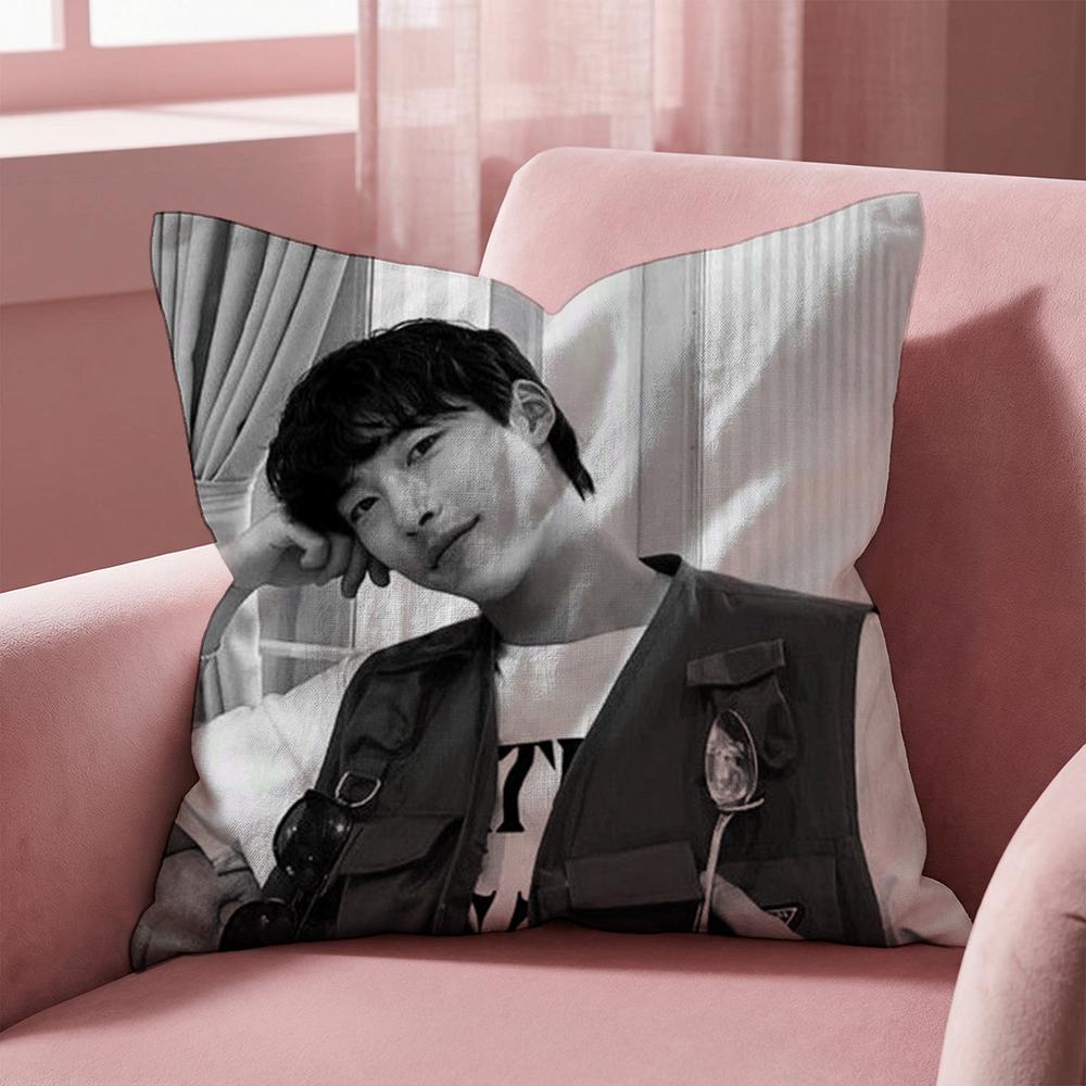 W-Woo Do H-Hwan Cushion Cover Multi-Scene Pillow Cover for Home & Car - Reversible, Soft & Durable for Daily Use