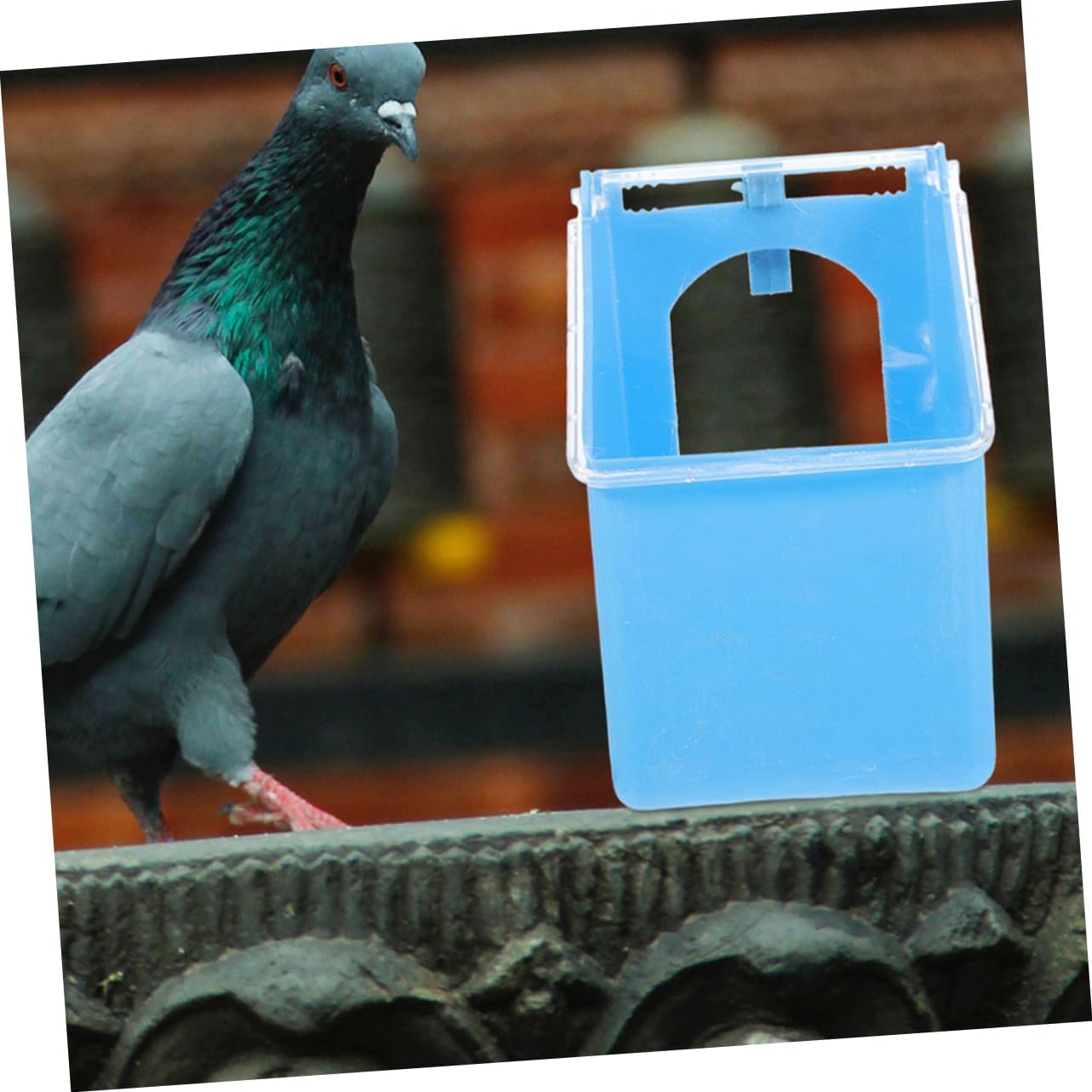 

Milisten 4pcs Quail Feeder Bird Feeding Bowl for Pigeons and Pet Birds Hanging Design Washable and Reusable for Bird Cage Supplies and Food