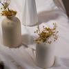 Simple Ceramic Vase Dining Table Decorations Wedding Decorations Nordic Home Living Room Decorations Vase