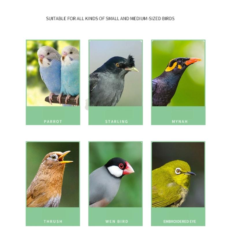 Dustproof Bird Food Feeder Hangable Feeding Box Automatic Bird Feeder Anti-spill Bird Food Container with Large Capacity