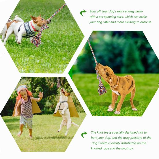 outdoor tether for dogs