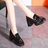 Small versatile square head platform comfortable high-heeled loafers women's autumn 2025 new small leather shoes thick-heeled single shoes