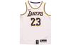 Nba Los Angeles Lakers LeBron James Association Edition Swingman Jersey AA7101-111