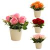 Exquisite Rose Flower Freshing House Plant Natural Potted