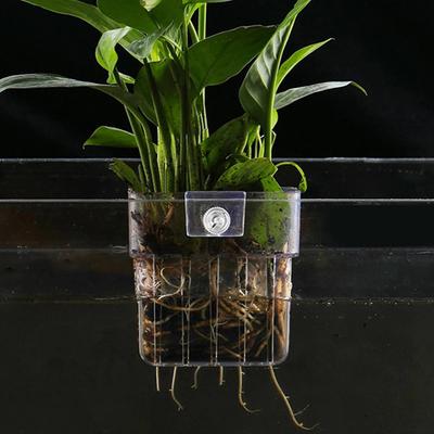 Macetas y jardineras – Maceteros colgantes