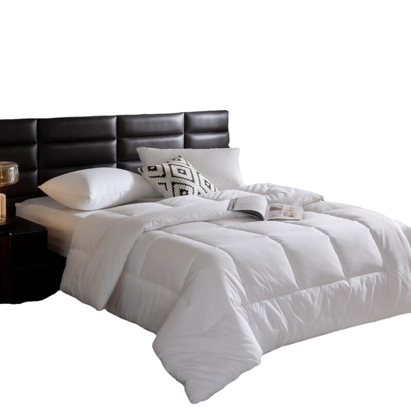 Menglimengwai Hotel & Dorm Fiberfill Duvet Insert