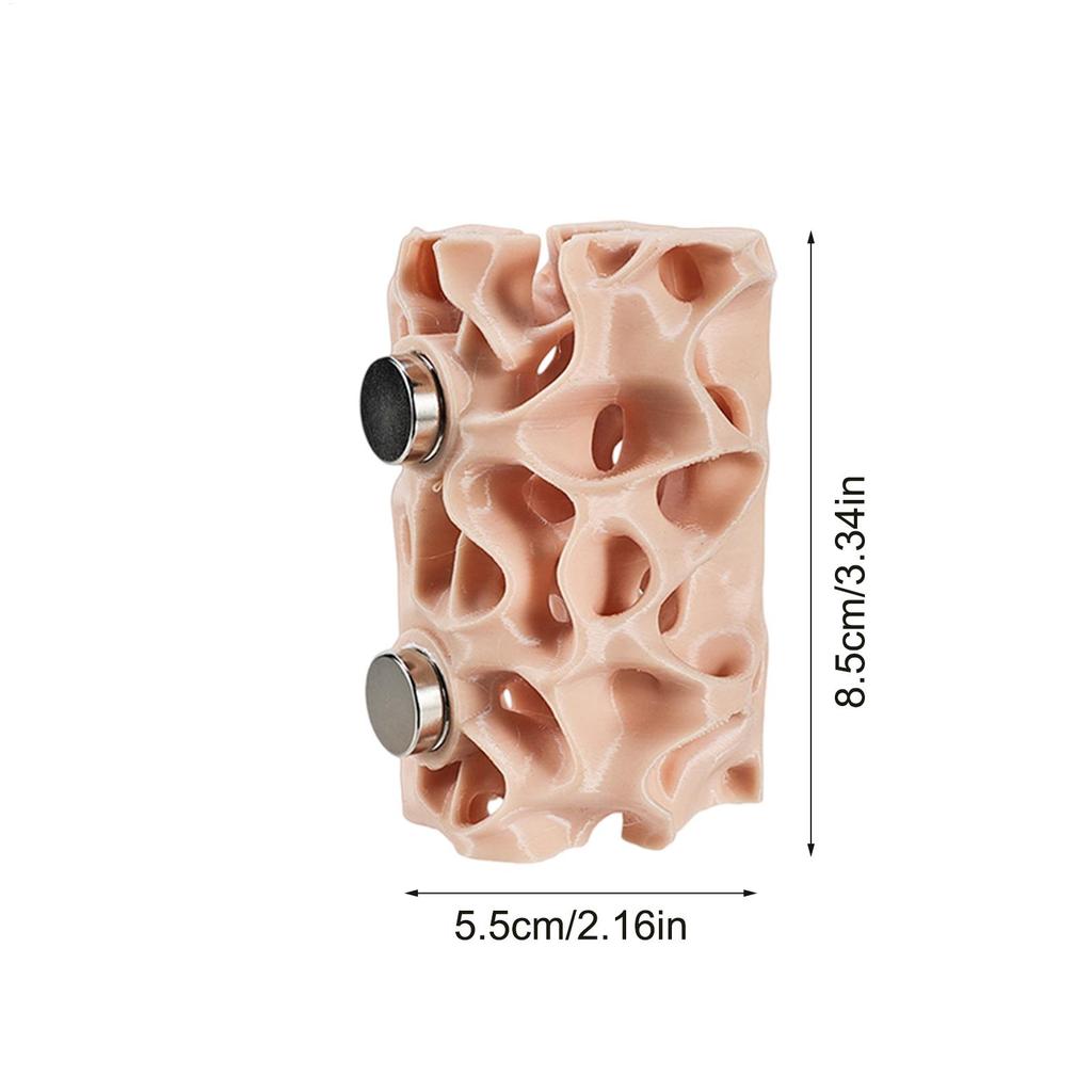 Reptile Cave Magnetic Hiding Place Amphibian Habitat For Spider Climbing Terrarium Frog Gecko Amphibian Enclosure Decoration