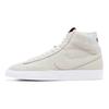 Nike Blazer Mid Strangers Things Upside Down Pack Sneakers Skateboard Shoes CJ6102-100