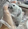 Funny Kawaii Mochi Taba Squishynew Chubby Seal Handmade Silicone Plush White Seal Cute Girl Birthday Kids Gift Fidget Fluffy Toy