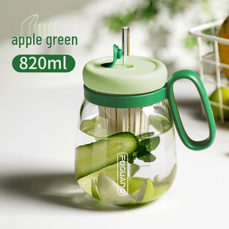 Fuguang 820ml Double Wall Glass Tea Infuser Bottle with Straw