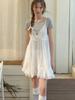 Liel Siena Lace Layered Dress (White)