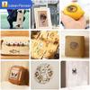 LaserPecker PRO Portable Mini Laser Engraver CN plug (adapter included)
