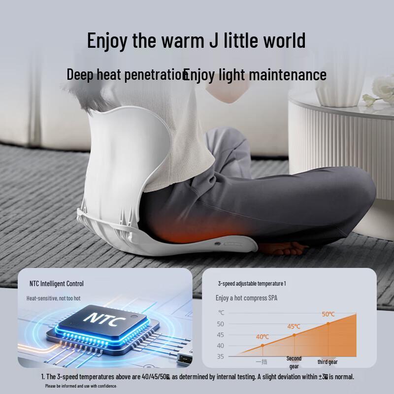 Philips Vibrating Lumbar Support Cushion CN Plug (adapter Included)