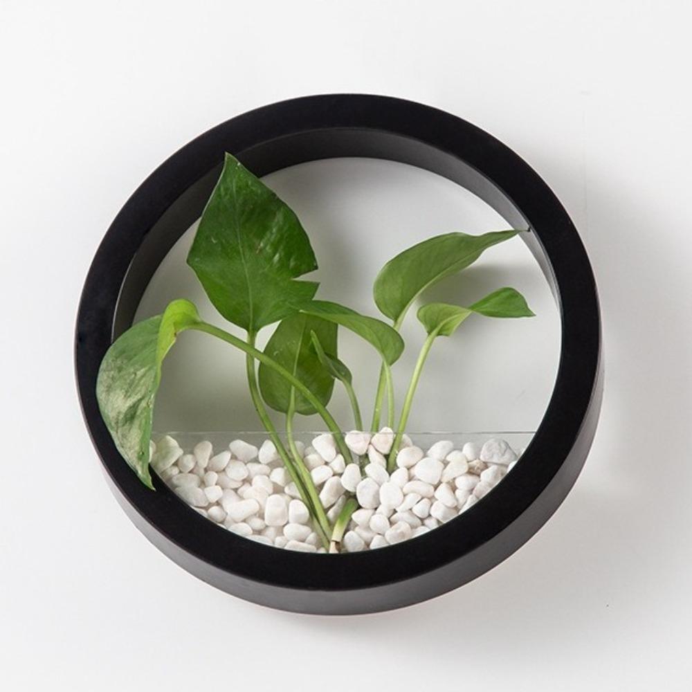 Plastic Hydroponic Vase Round Plant Container Creative Flower Arrangement Office Display