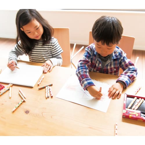 KOKUYO Colored Pencils Mixed Colored Pencils 20 Pieces KE-AC2
