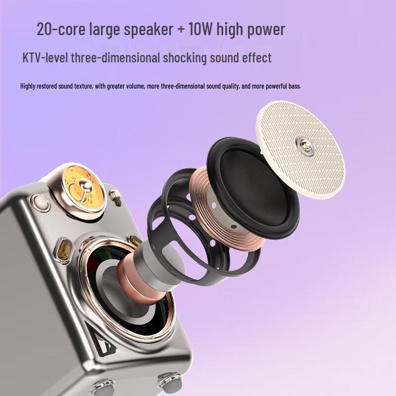 Dot Tone Portable Bluetooth KTV Speaker with Microphone