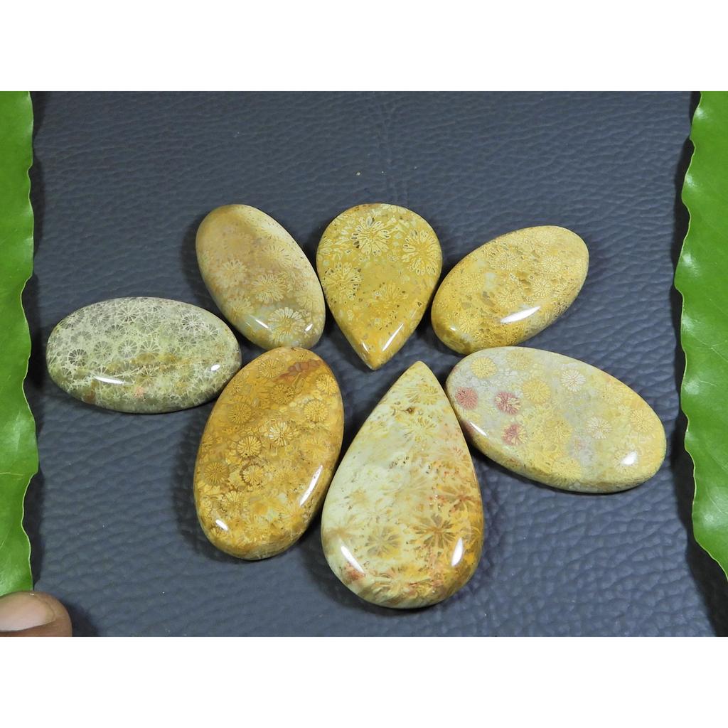 233Cts. Natural Fossil Coral Mix Cabochon Loose Gemstone 7 Pcs Lot A-562