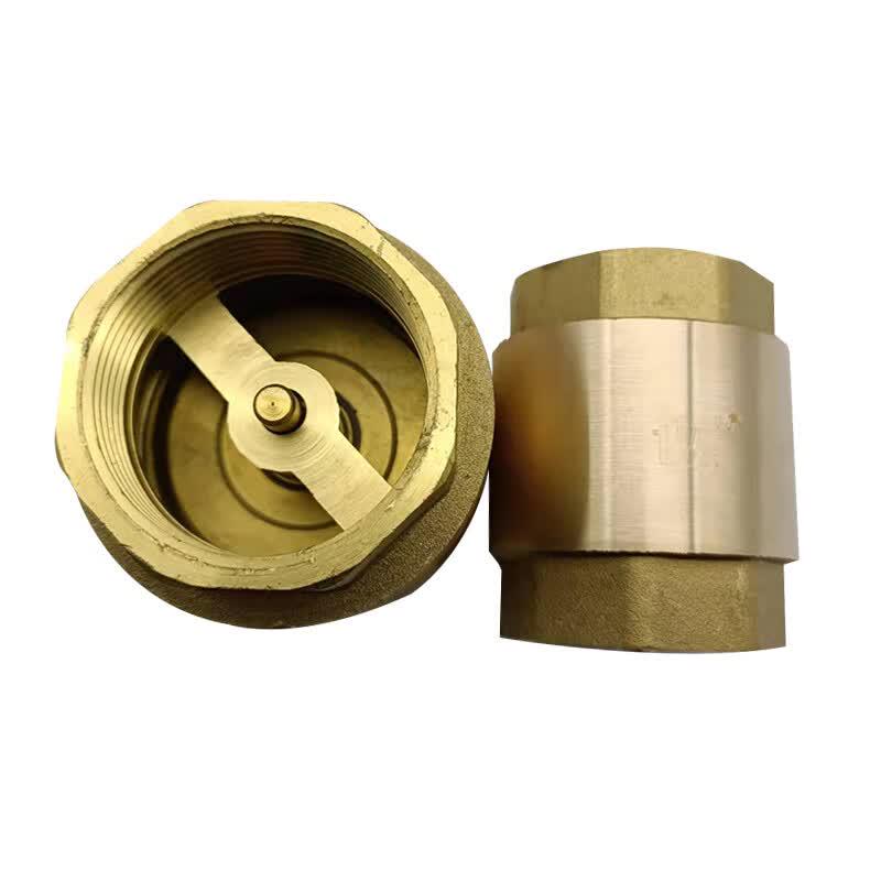 Water Meter Vertical Check Valve