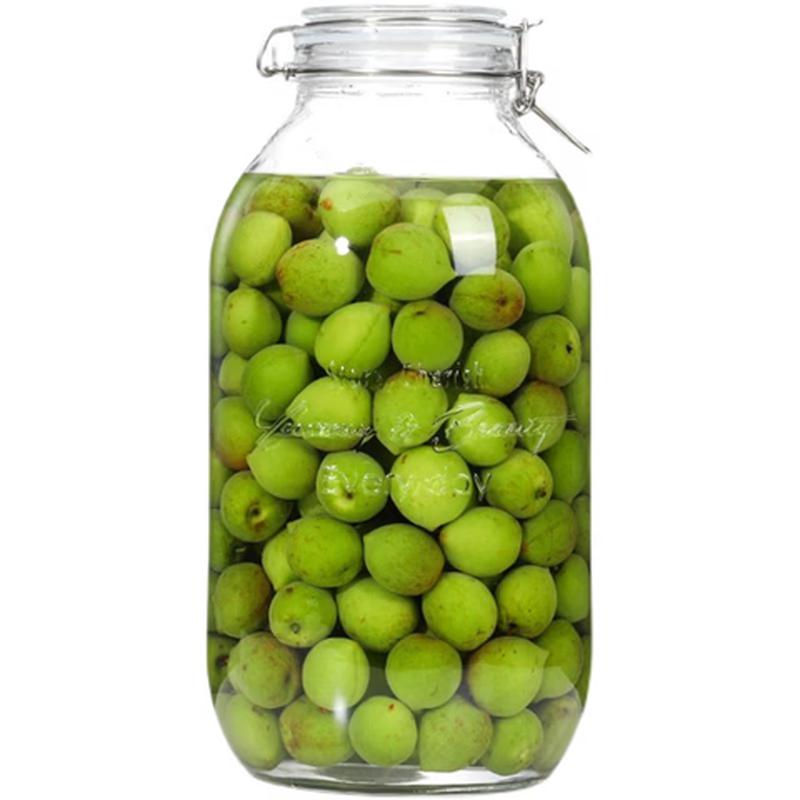 Andytai Thickened Glass Infusion Jar